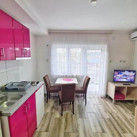 Apartment Aleksandra 2 10